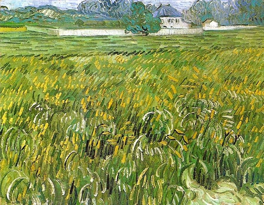 油絵 絵画 【ポインセチア畑】 油絵 絵画 【ポインセチア畑】 油絵 絵画 【ポインセチア畑